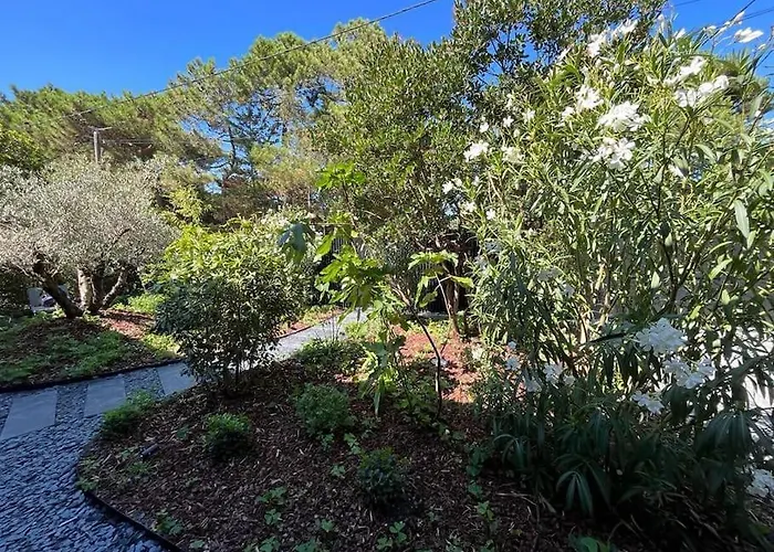 La Des Cap - A 400m Ocean Et Bassin Villa