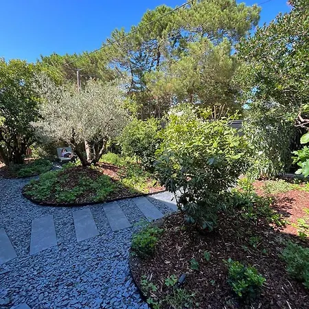 La Des Cap - A 400m Ocean Et Bassin *