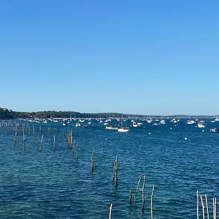 La Des Cap - A 400m Ocean Et Bassin Villa